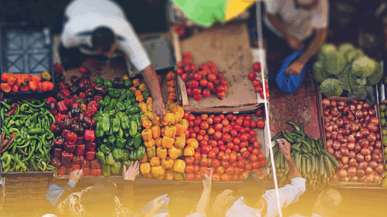 Food Governance and Policies at local level