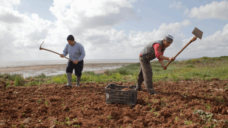 Replenishing the small water cycle towards a more resilient Agriculture