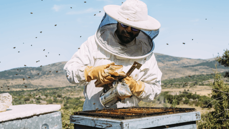 Promoting Local Apiary Networks and Bee Entrepreneurial Excellence