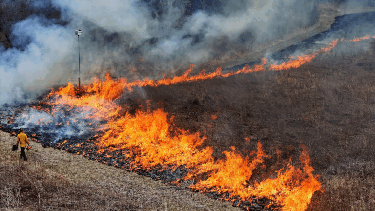 Strategic Integration of Operational and Legal Frameworks for Enhanced Resilience and Management of Mediterranean Wildfires