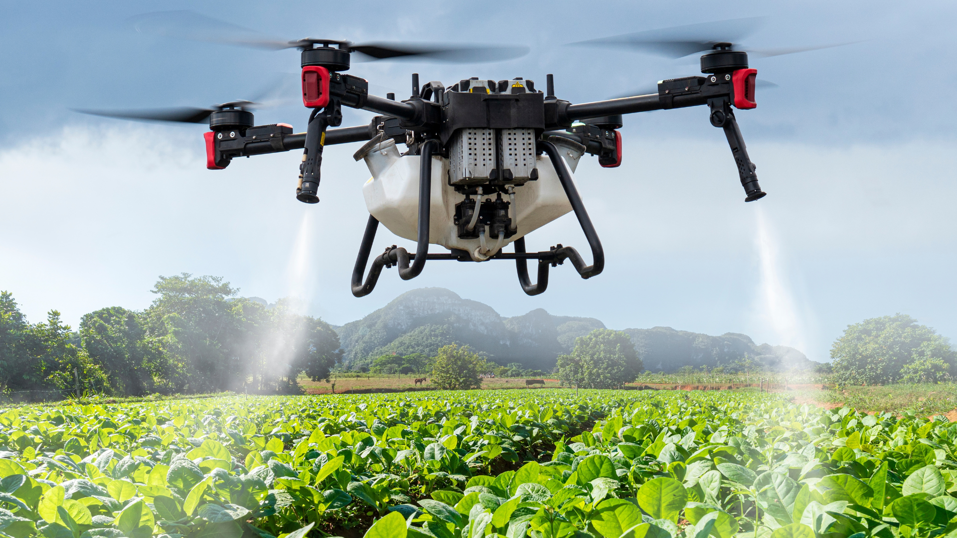 SWAMED project is looking for an External Auditor in Tunisia