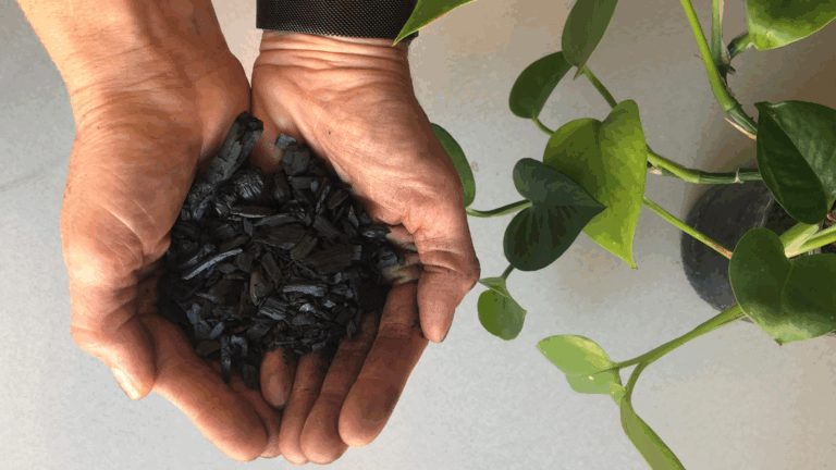 Pyrolysis of Dried Sewage Sludge for the Production of Energy and Biochar as a Multifactor Process for Energy Efficiency and Reduction of Gas Emissions