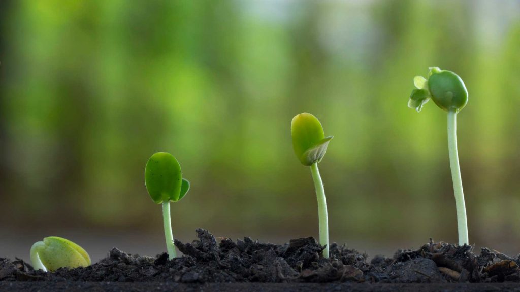 Déposer une proposition de projet