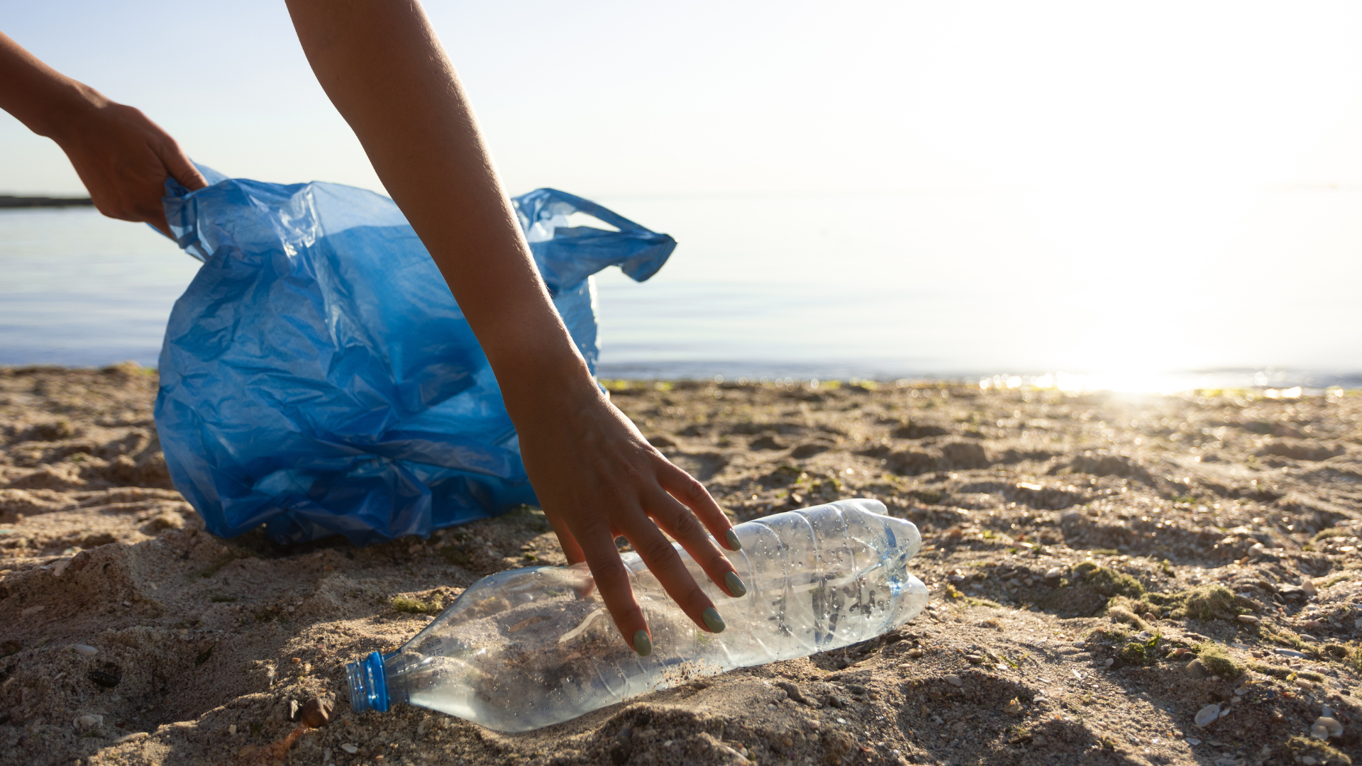 Rejoignez-nous pour le nettoyage des plages 2024 à Aqaba, en Jordanie !