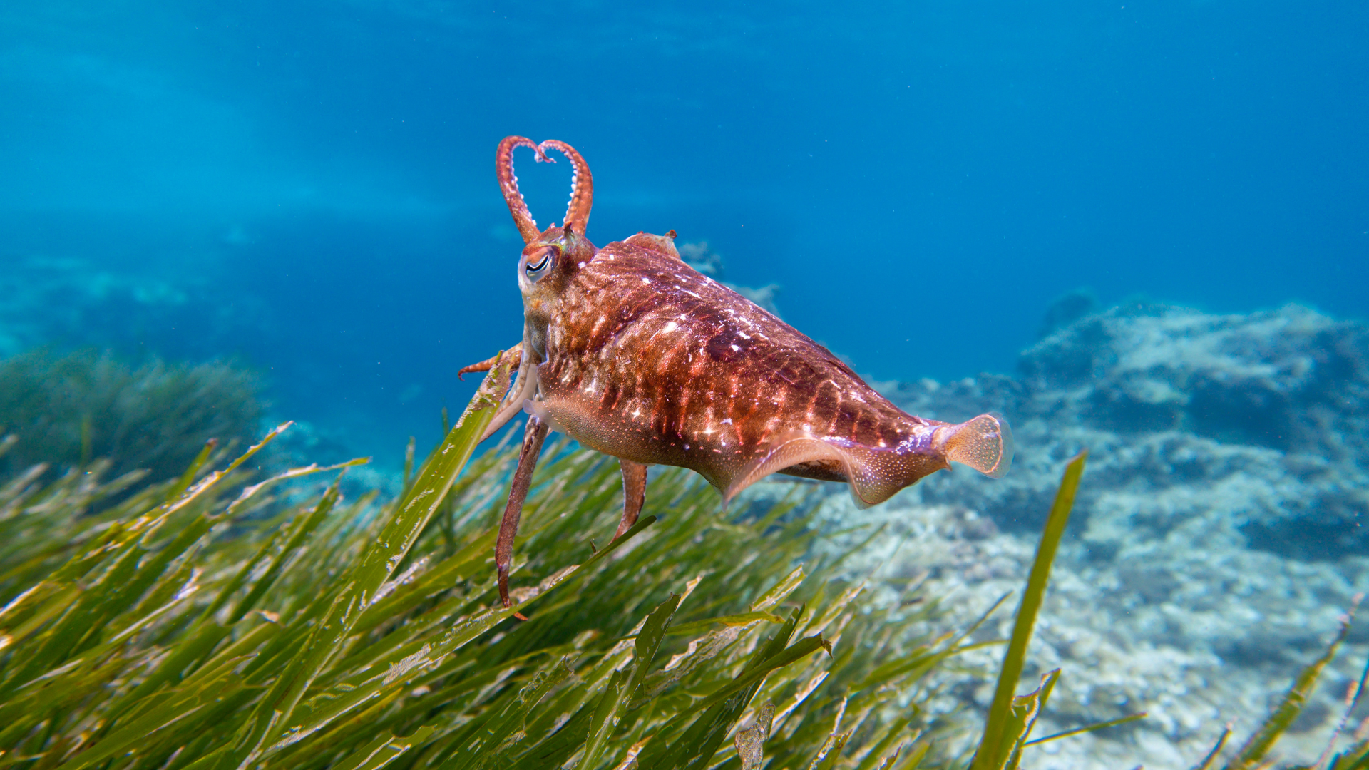 ثلاث وظائف شاغرة ضمن مشروع MedPROACT للتكيّف مع تغيّر المناخ