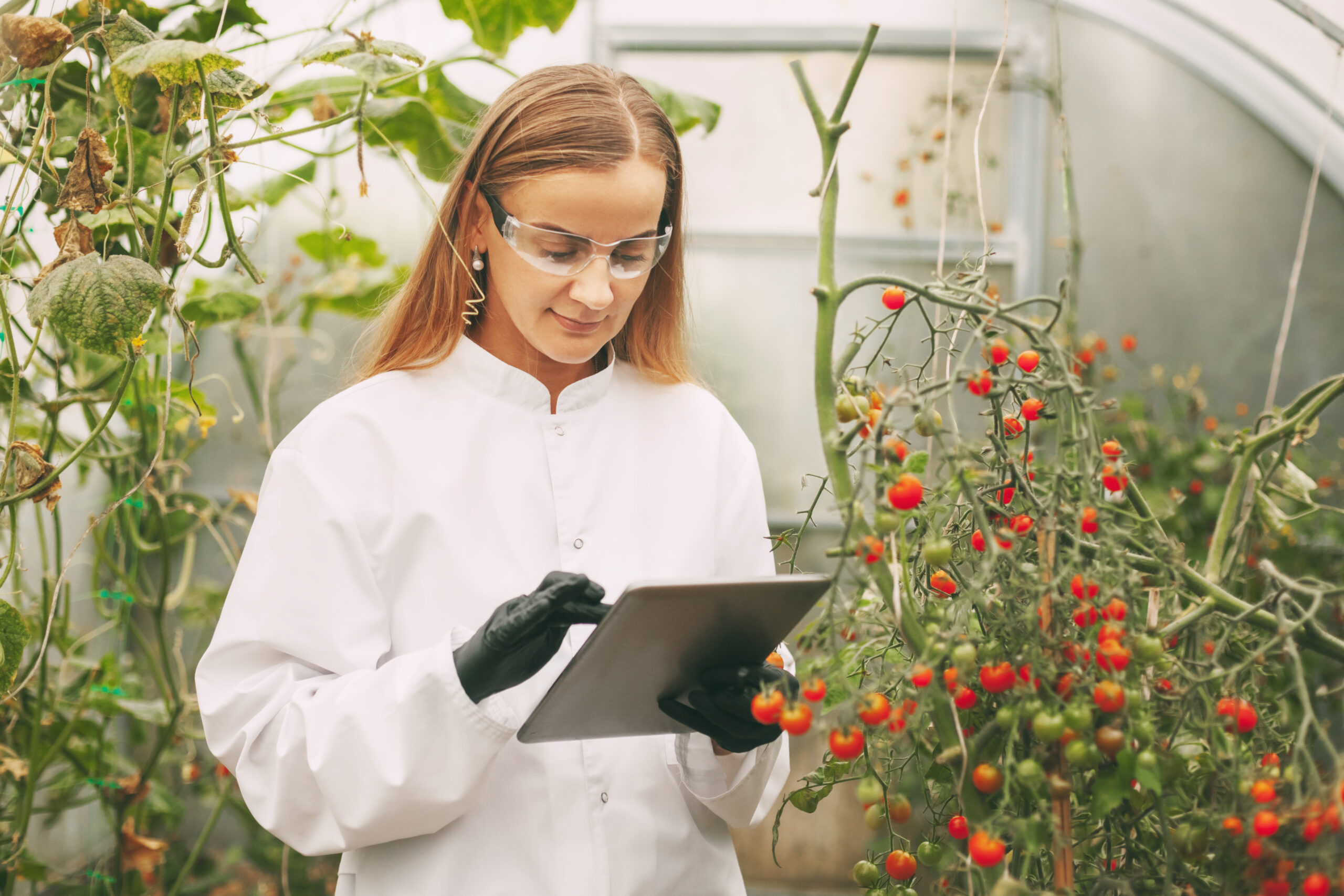 Opportunity in Palestine: Technical Research Assistant – EONANOBIOPS Project