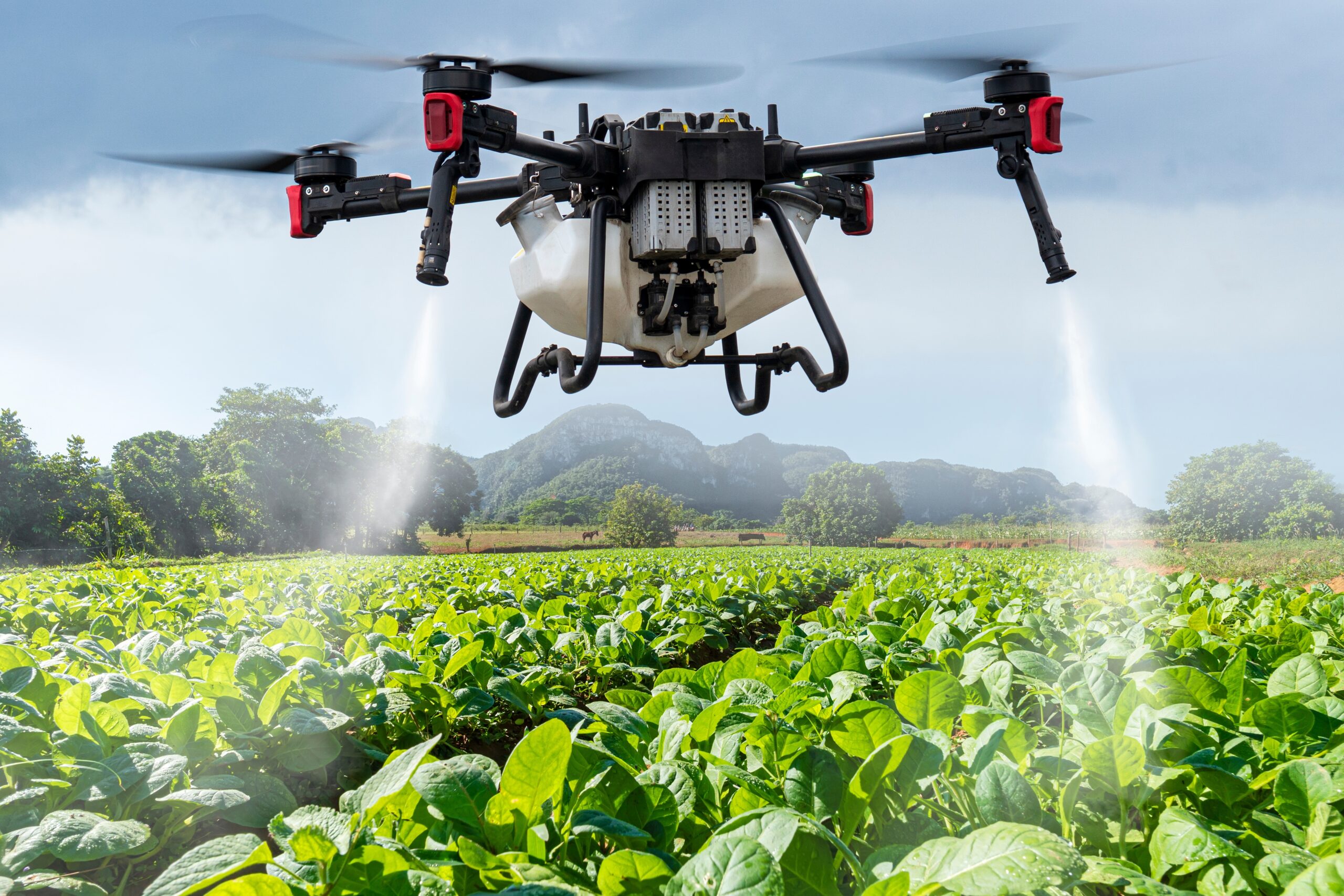 Opportunity in Greece under the SWAMED project: Postdoctoral Researcher in Sustainable Agriculture & Drone Applications- SWAMED Project