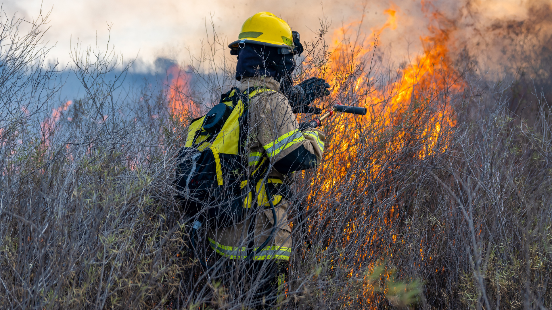 MEDFIREWISE: Building wildfire-resilient communities across the Mediterranean