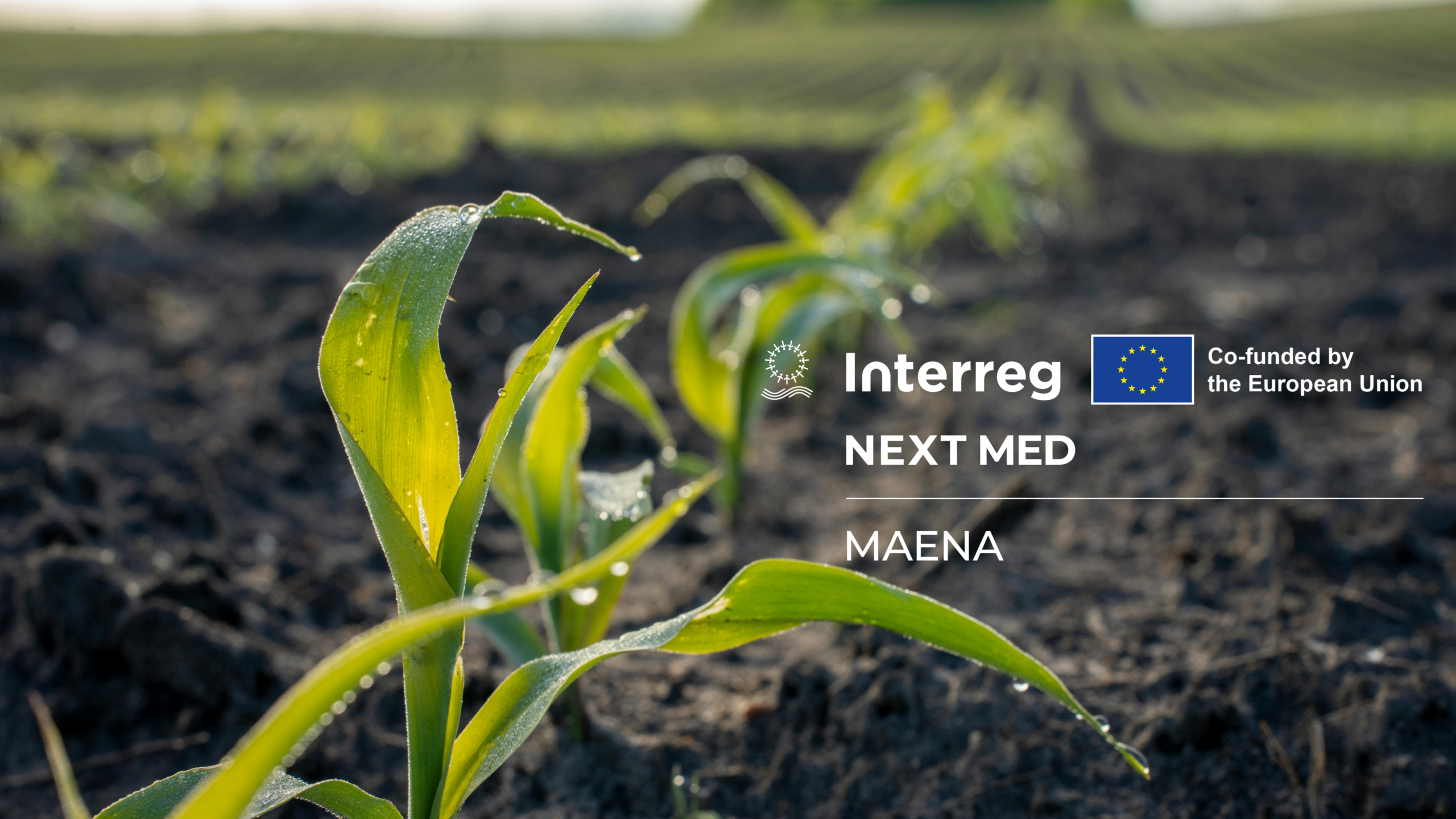 Introducing MAENA: a project restoring the Small Water Cycle for a resilient Mediterranean
