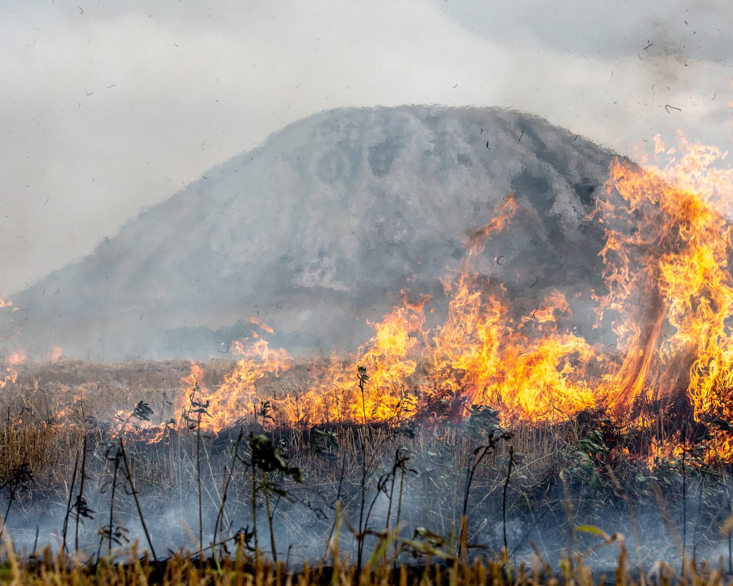 MedFireWise Featured in Greek Press: Nature as an Ally in Wildfire Prevention