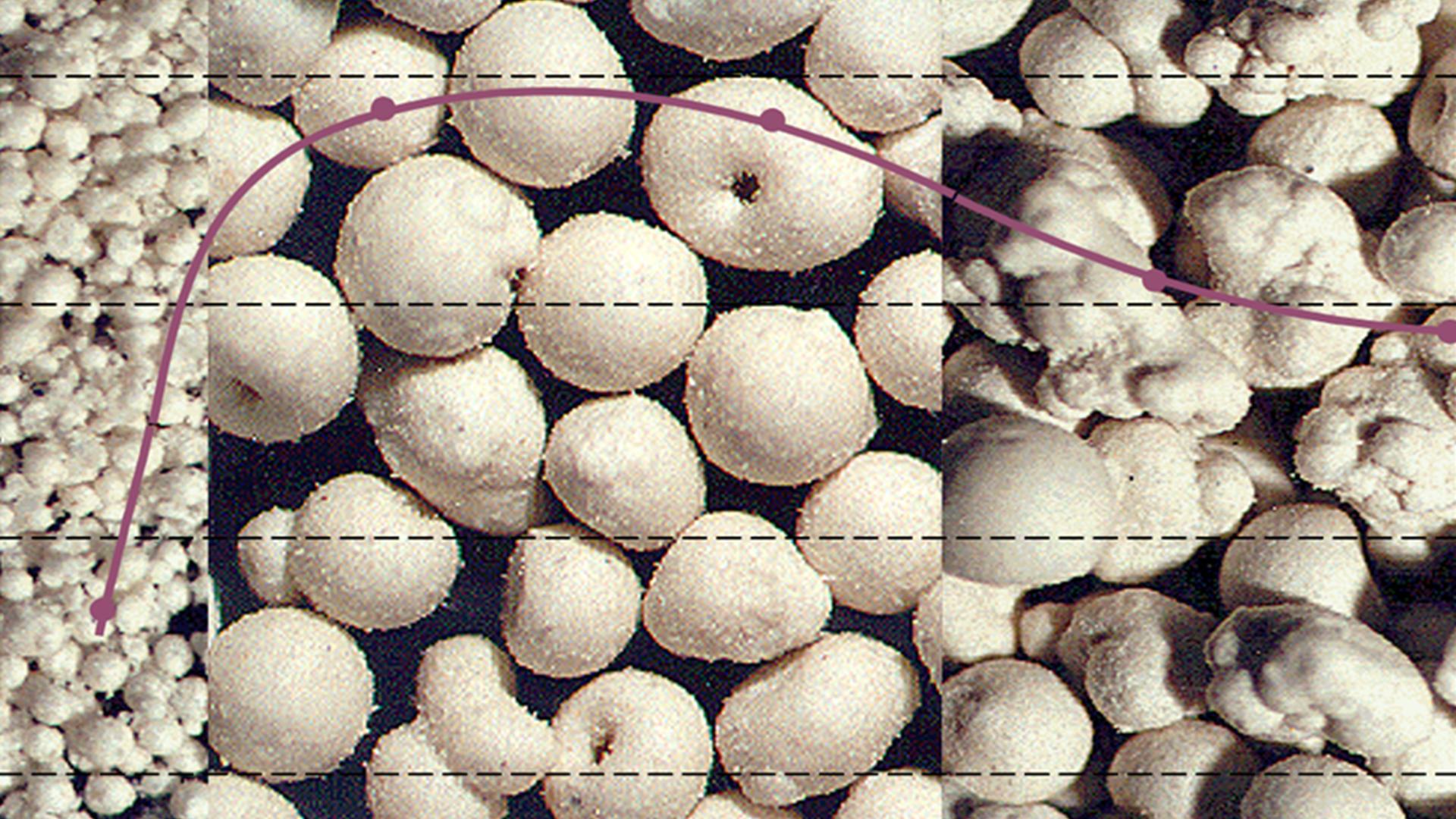 INNOVATILE is taking its first steps by purchasing materials