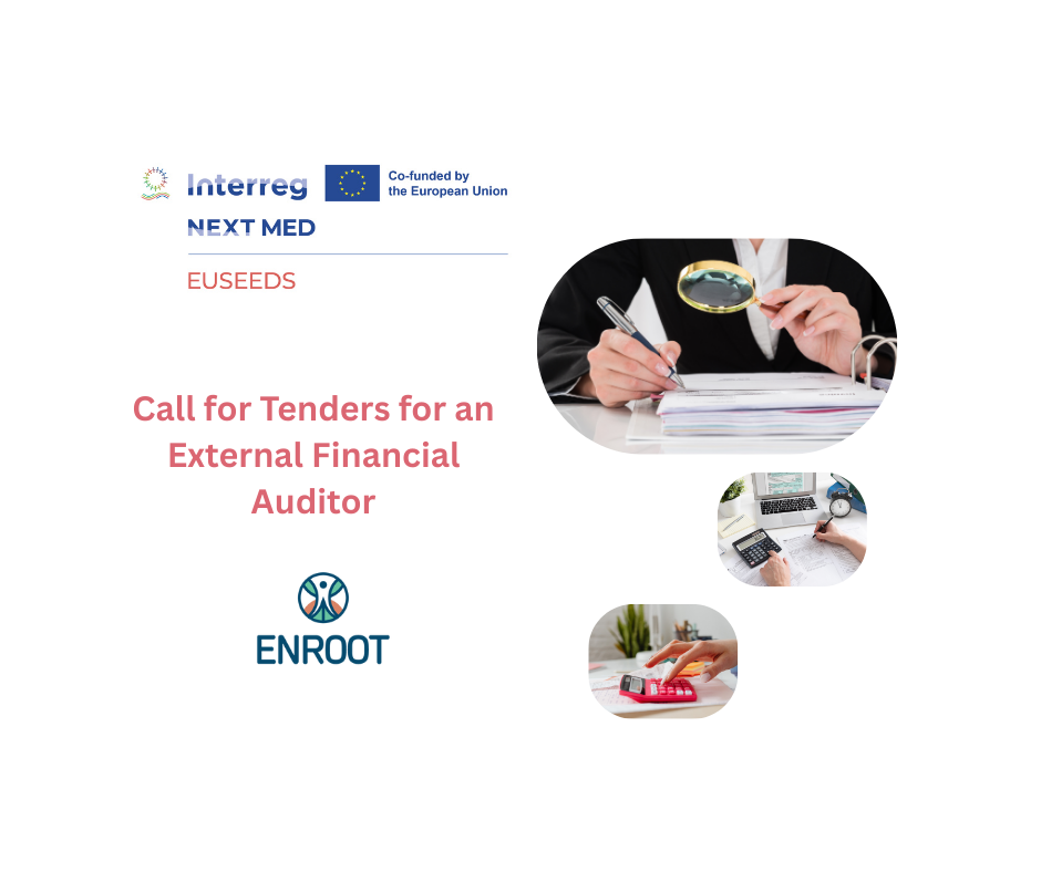 EUSEEDS: Call for Tenders for an External Financial Auditor in Egypt