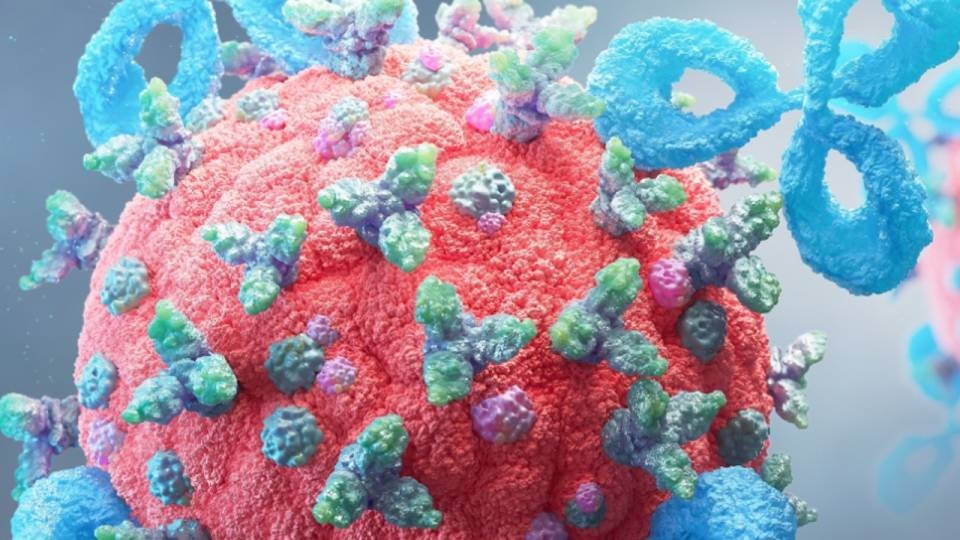 MILenARI: a European project to democratize access to CAR-T therapy in the Mediterranean