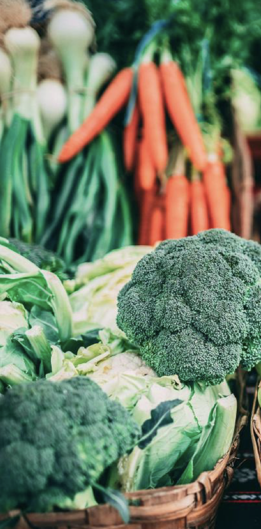 FOODGaP Chronicles on Monitoring for Action: Using Evidence to Inform and Drive Food Policy Decisions