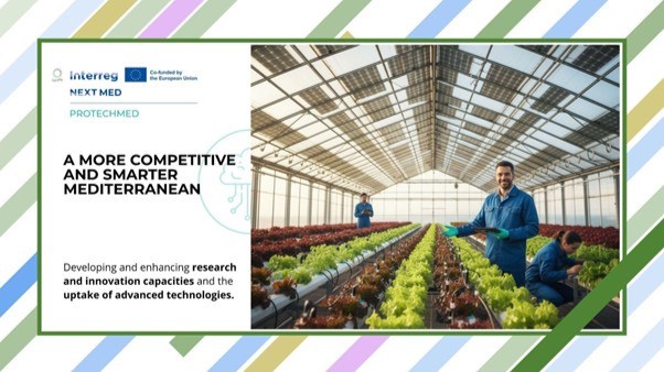 🌿 PROTECHMED: Call for Best practices for Sustainable Protected Horticulture in the Mediterranean is now open!