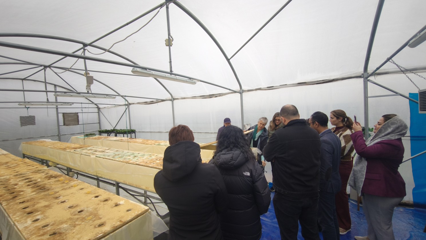 PROTECHMED is looking for Tunisian agrifood companies to participate in exhange visits in Sicily (Italy) PROTECHMED is looking for Tunisian agrifood companies to participate in exhange visits in Sicily (Italy)