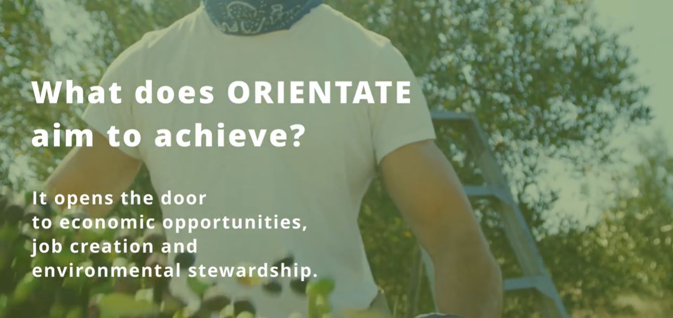 ORIENTATE – Intro video