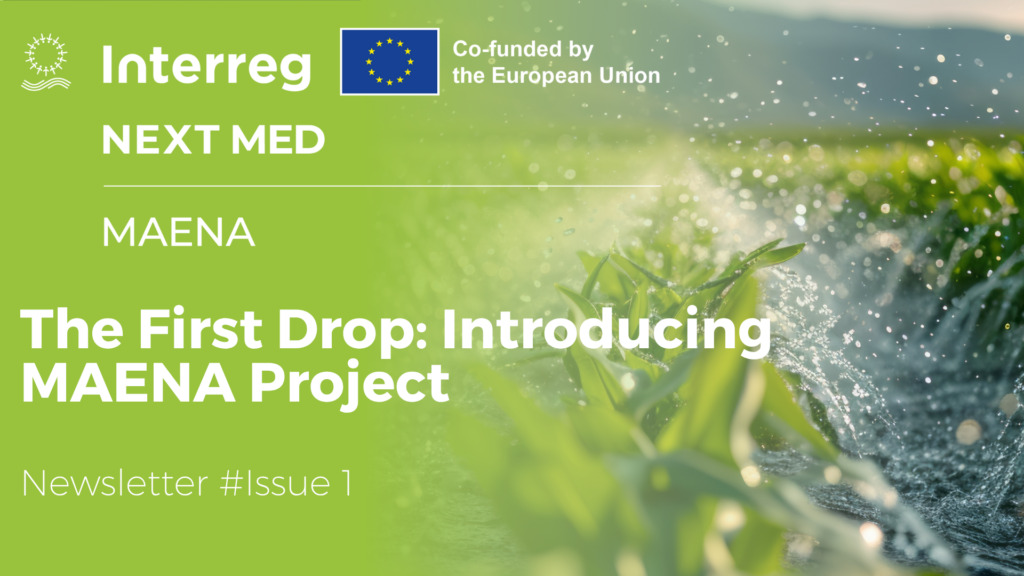 MAENA Newsletter #1: Initial steps toward regional water resilience