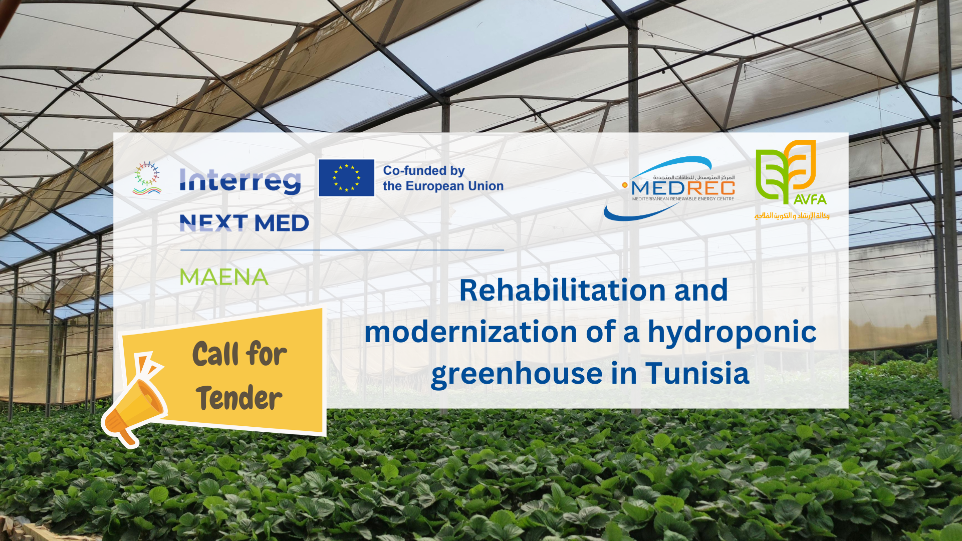 MAENA: new tender for the rehabilitation and modernization of a hydroponic greenhouse in Tunisia