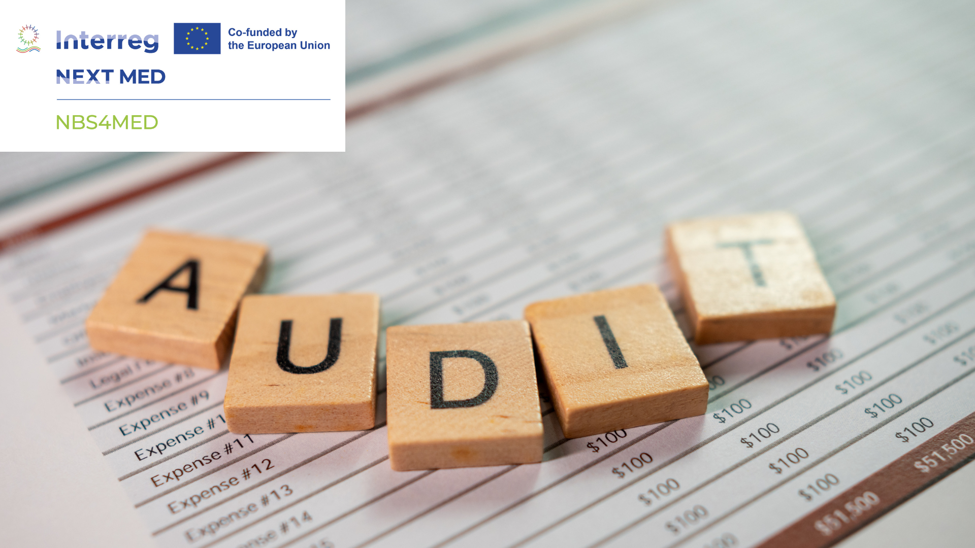 NBS4MED Call for Certified External Auditor in Jordan