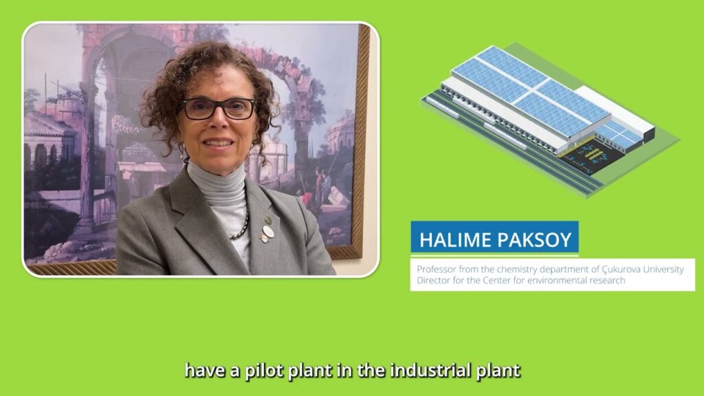 GREENOLIVE | Green Mediterranean through Solar Driven Decarbonization of Industries