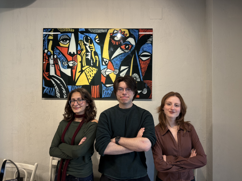 MEDAIGENCY AI4Purpose Voices: Insights from Türkiye on AI for Emergency Resource Allocation