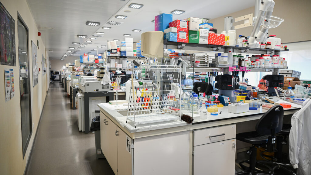 MILenARI project maintains momentum amid Middle East conflict