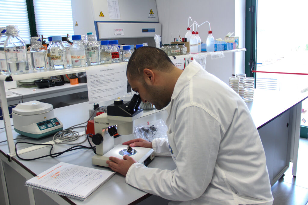 MedPROACT Launches Training to Support Method Alignment in Research on Invasive Marine Species