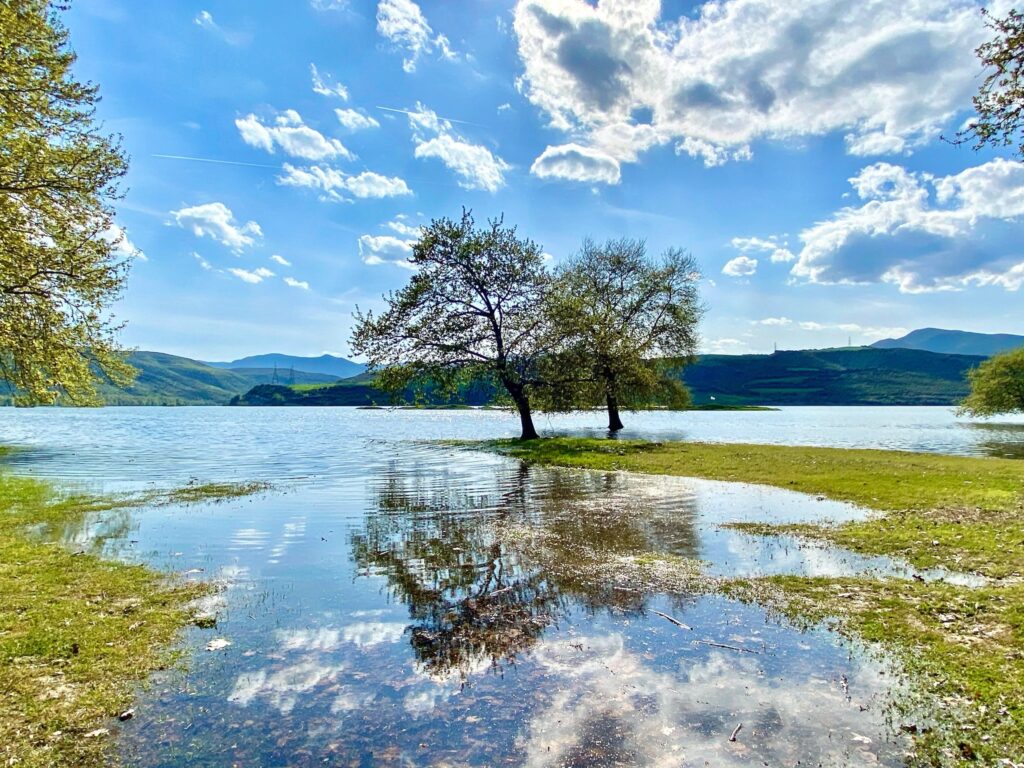 SMARTMED: Respect for people and the environment is not just a value, it is the foundation of meaningful innovation